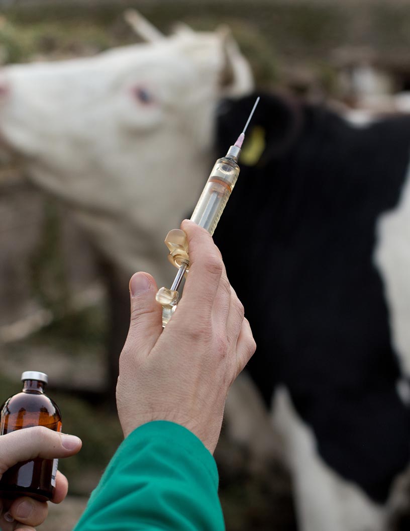 Global animal intestinal health market 2024-2028