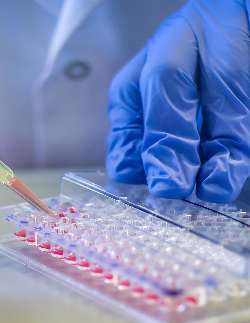 Global lateral flow assay components market 2024-2028