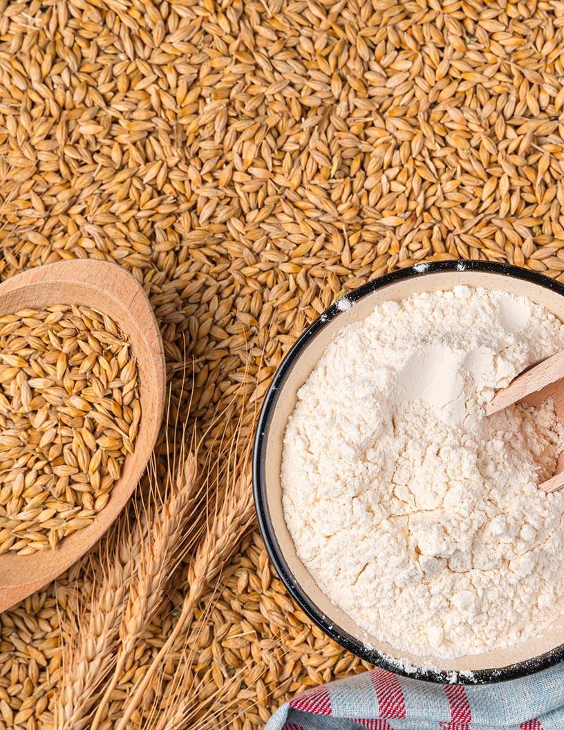 Global Wheat Market 2025-2029
