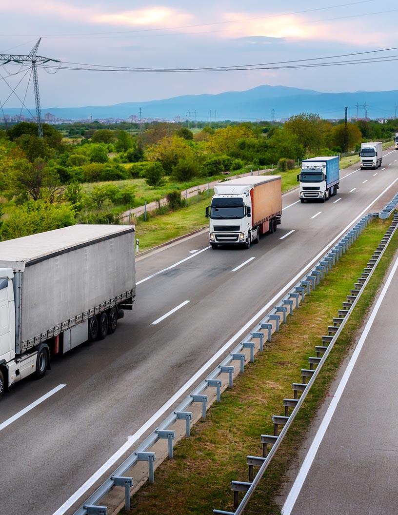 Global Road Freight Transport Market 2025-2029