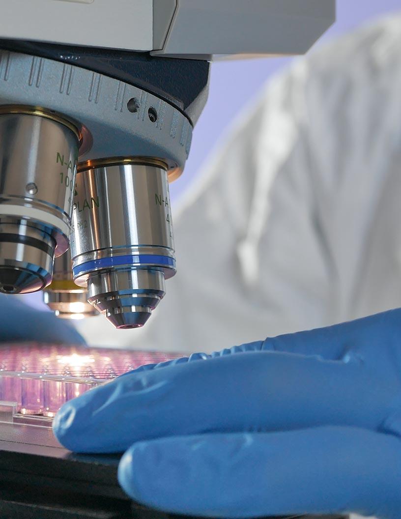 Global microbiology testing market 2024-2028