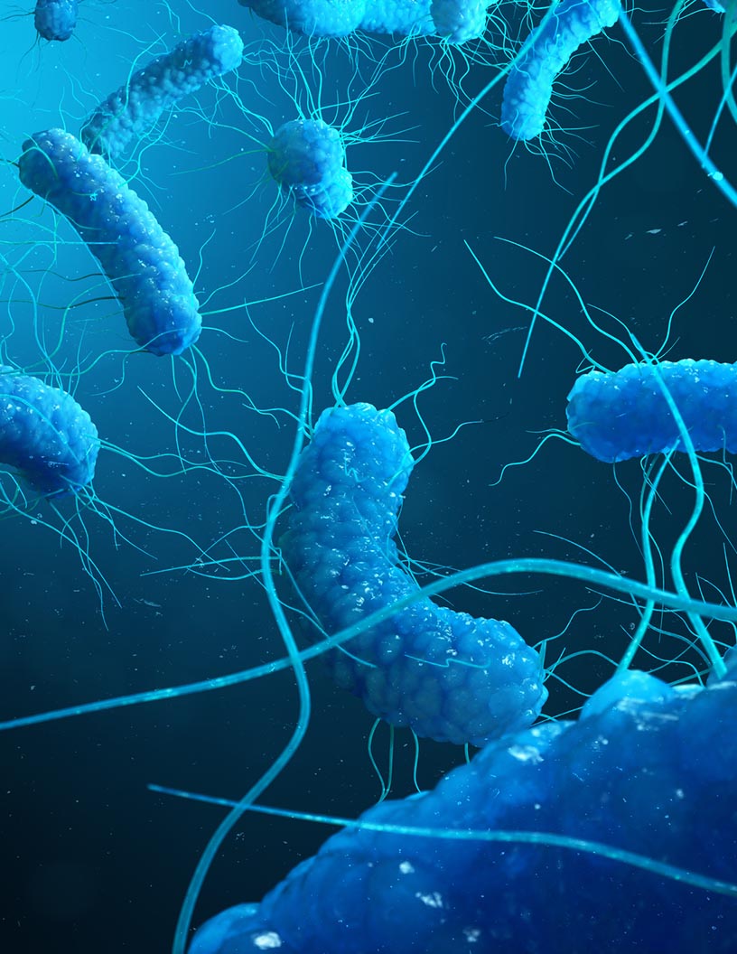 Global clostridium diagnostics market 2024-2028