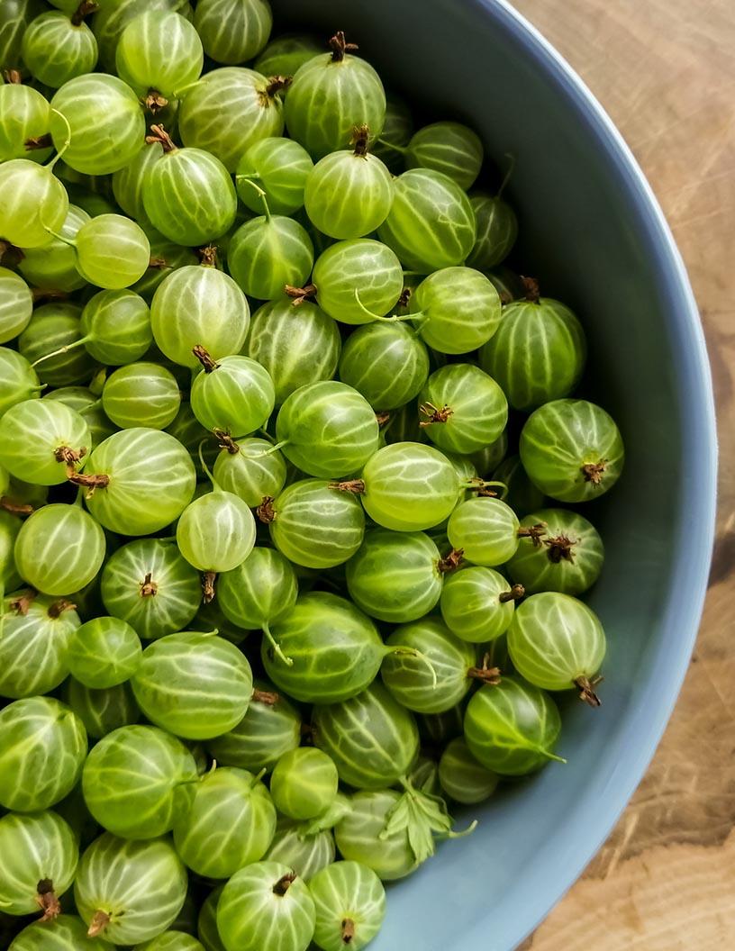Global Gooseberry Products Market 2025-2029