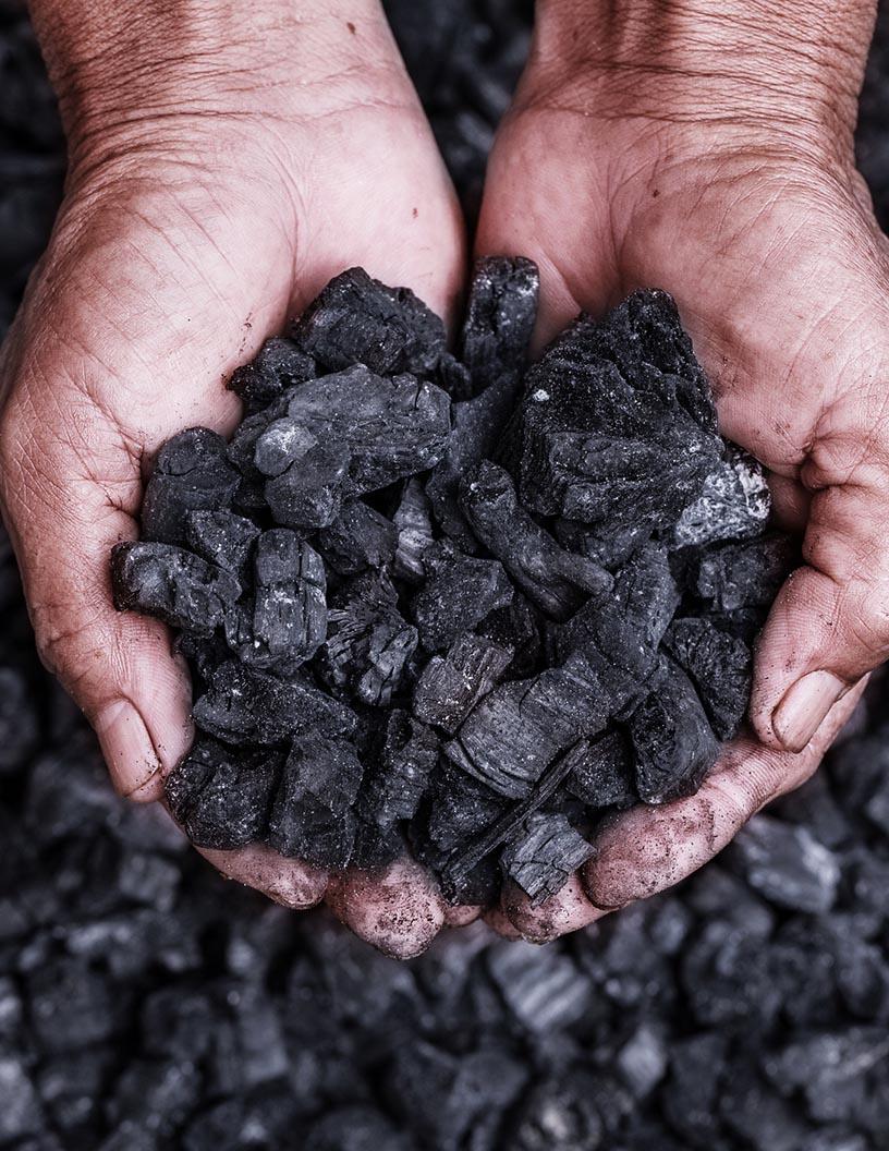 Global Green Petroleum Coke And Calcined Petroleum Coke Market 2025-2029
