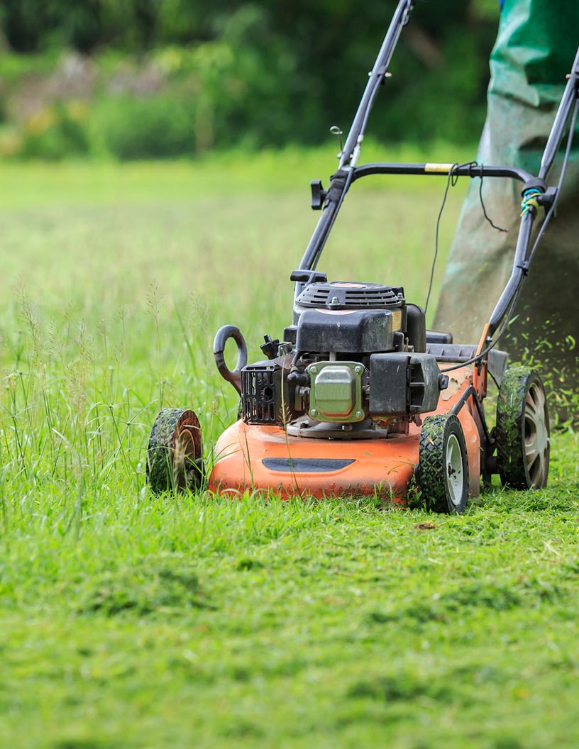 Global electric lawn mower market 2024-2028