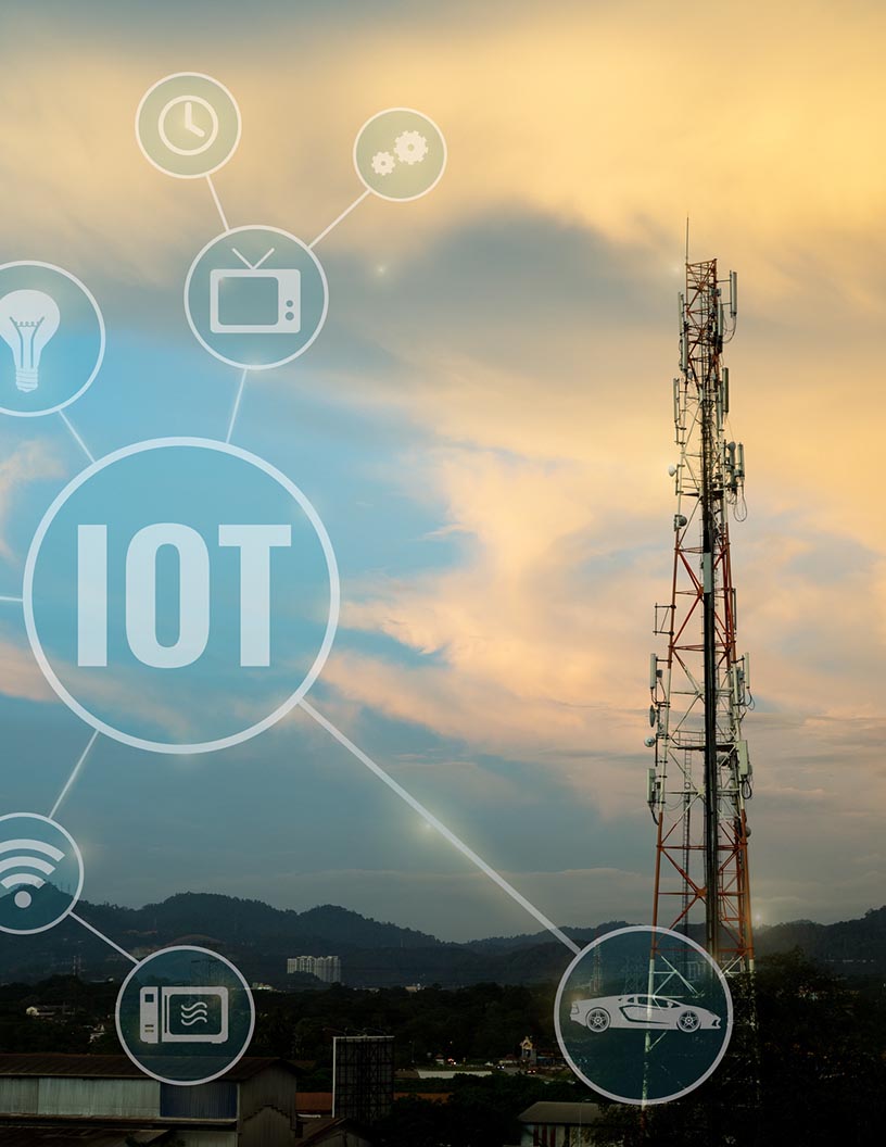 Global cellular IoT market 2024-2028