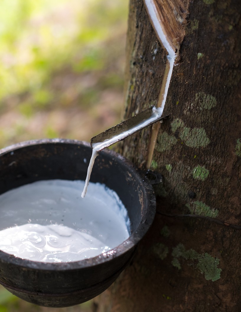 Global Rubber Market 2023-2027