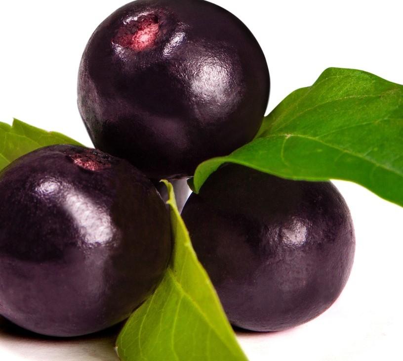 Global Acai Berry Market 2025-2029