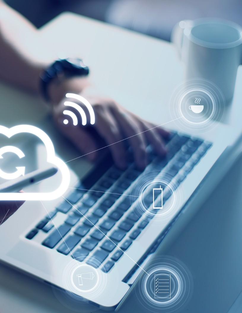 Global Stand Alone Cloud Storage Market 2025-2029