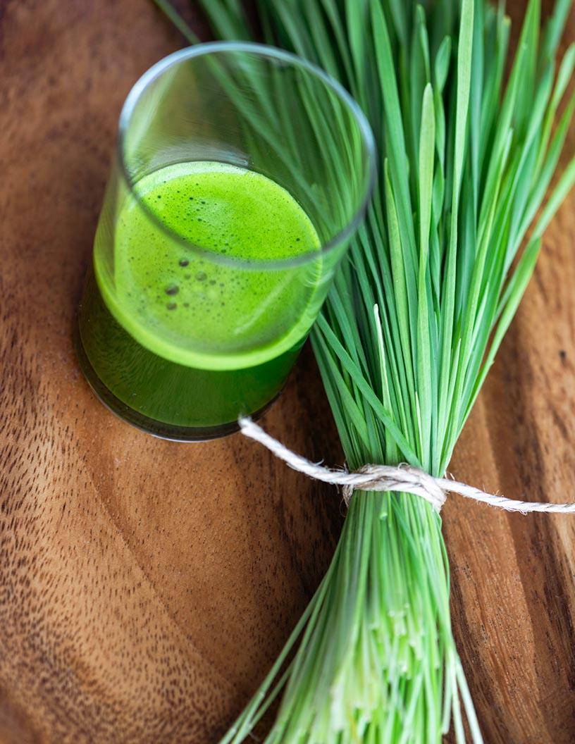 Global wheatgrass products market 2024-2028