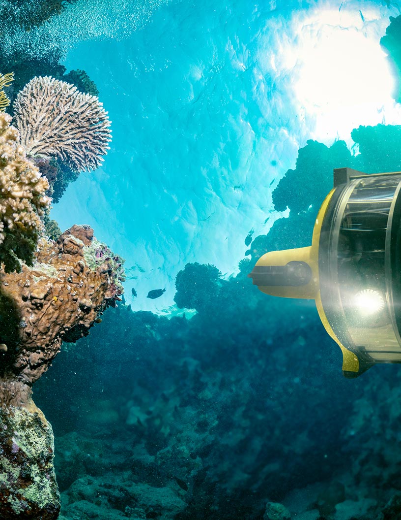 Global Deep Sea Robot Market 2024-2028
