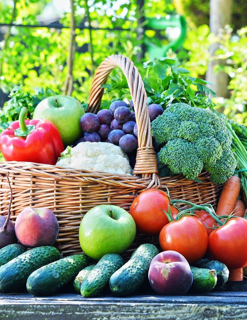 Fruits And Vegetables Market in Venezuela 2024-2028