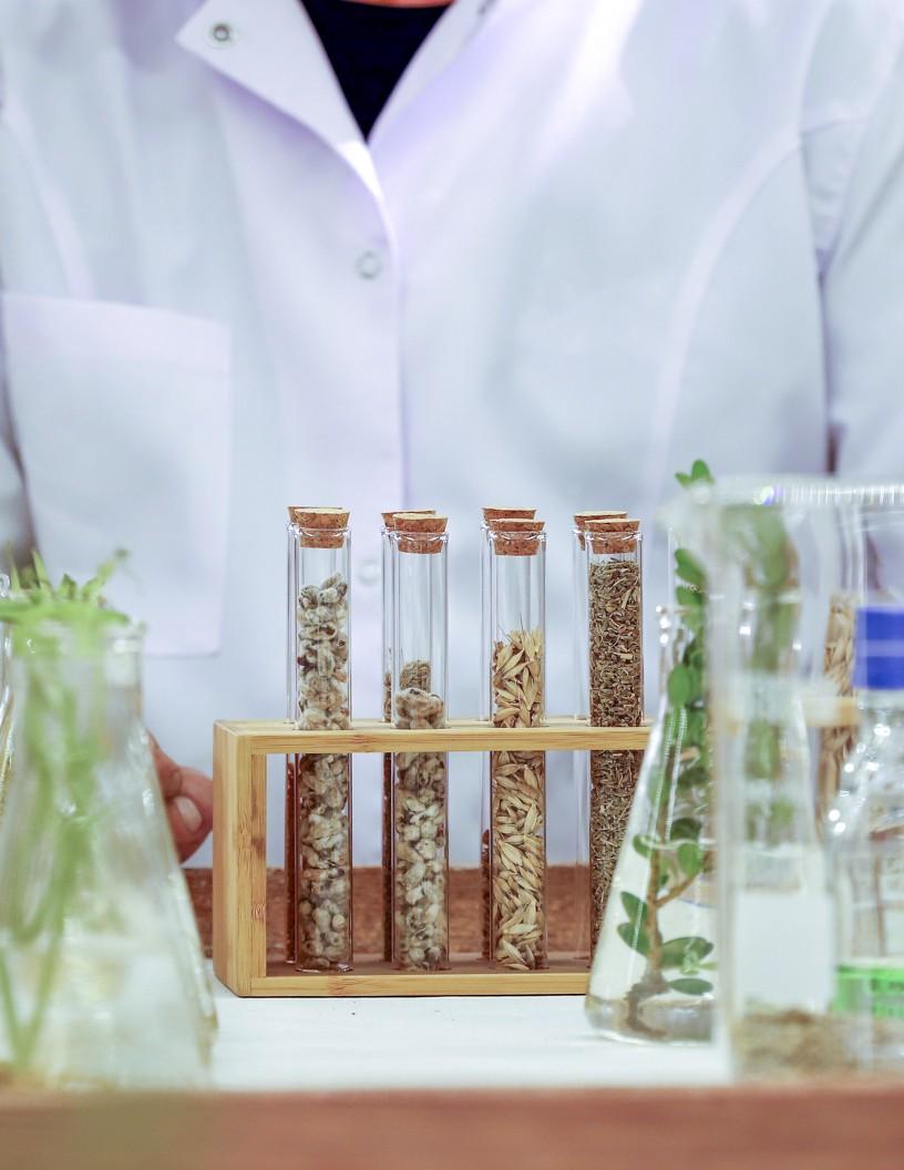 Global Genetically Modified (GMO) Food Market 2025-2029