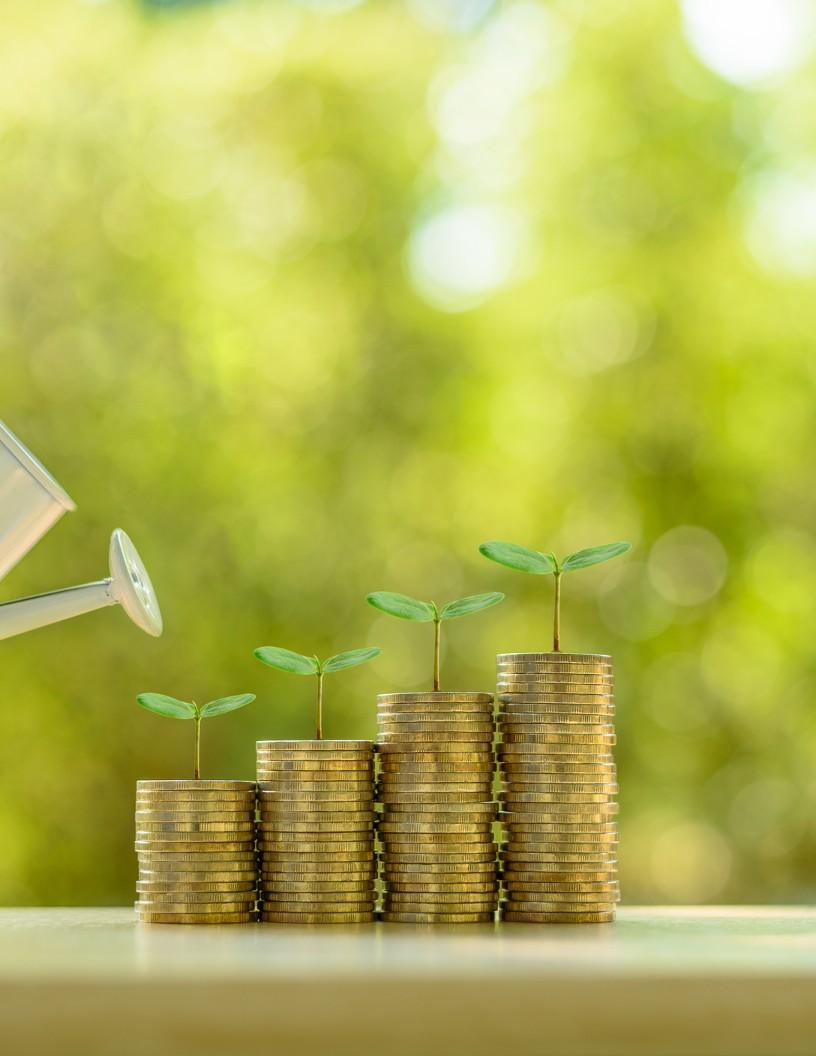 Global Impact Investing Market 2025-2029