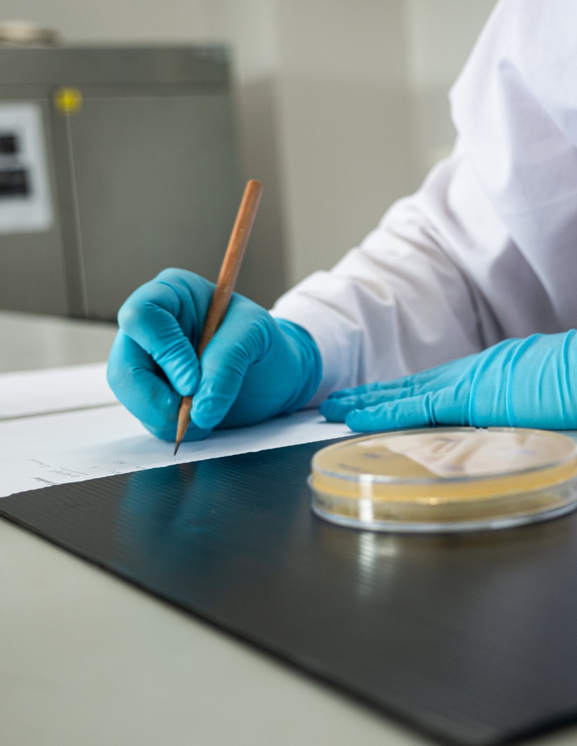 Global bioprocess validation market 2024-2028