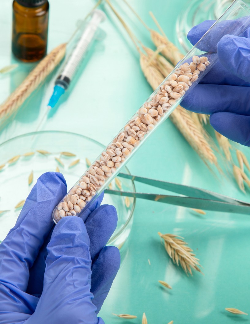 Global seed treatment market 2024-2028