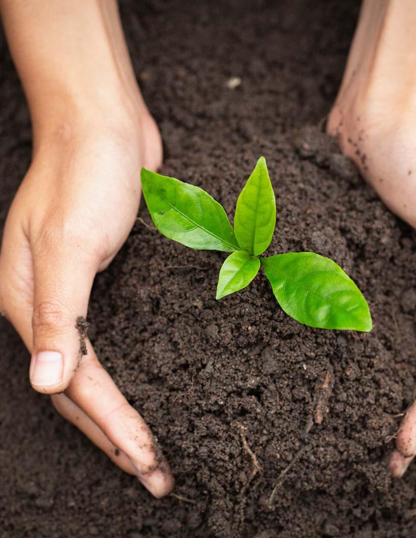 Global Soil Treatment Market 2025-2029
