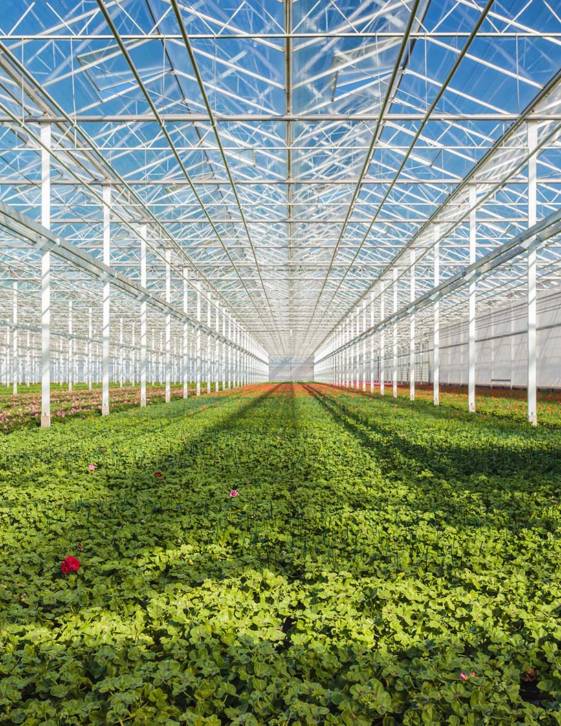 Global commercial greenhouse market 2024-2028