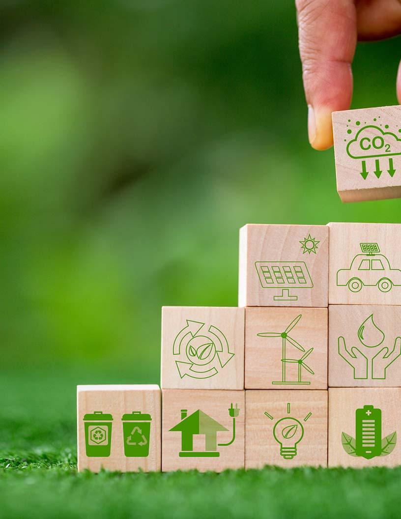 Global Carbon Credit Market 2025-2029