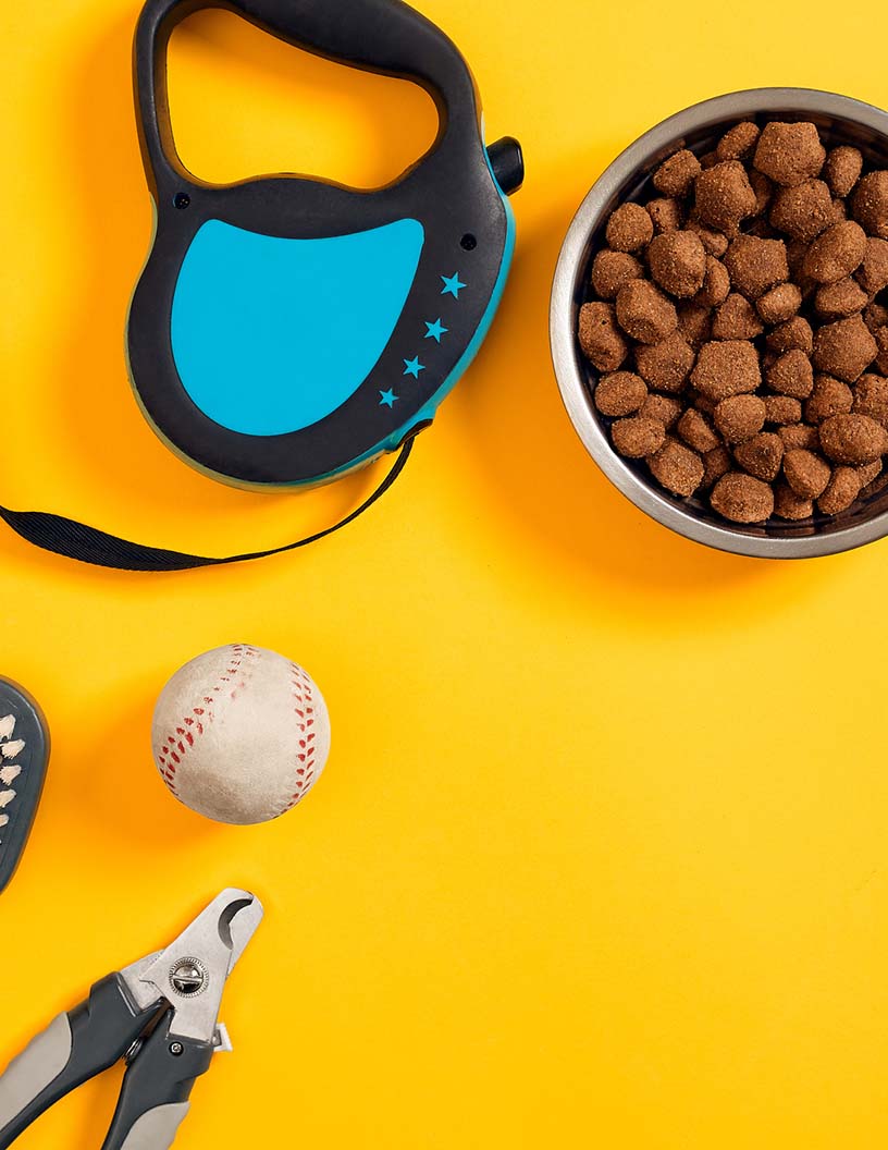 Global pet grooming products market 2024-2028