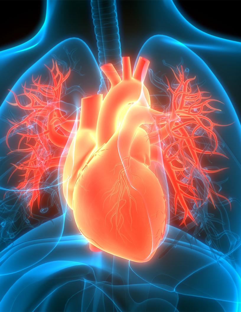 Global cardiovascular and soft tissue repair patches market 2024-2028