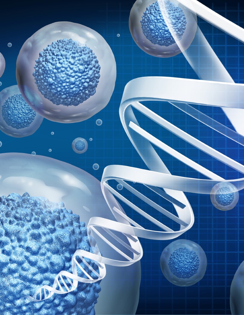 Global tissue engineering and regeneration market 2024-2028