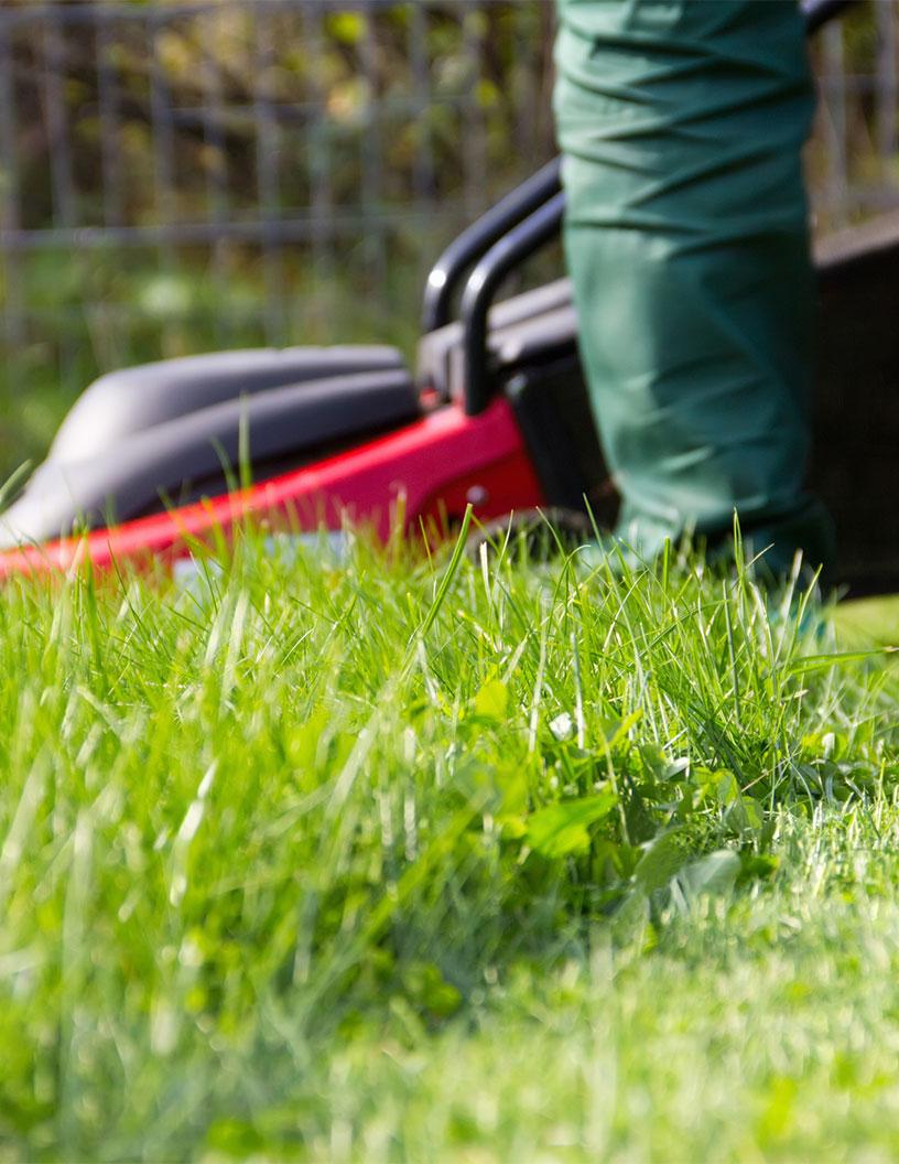 Landscaping Services Market in US 2025-2029