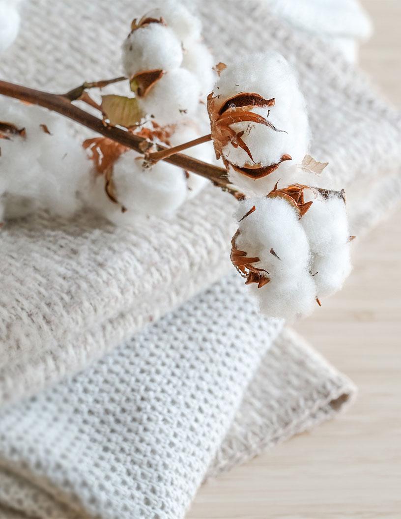 Global Sustainable Fabrics Market 2025-2029