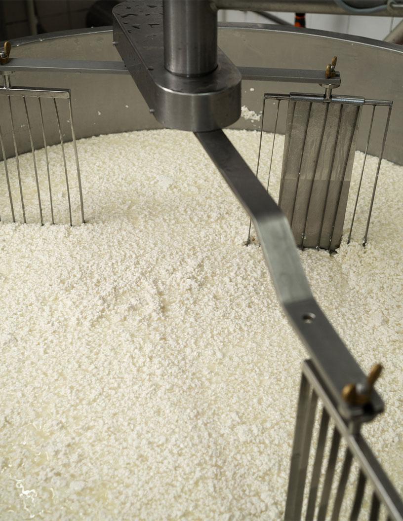 Global Precision Fermentation Market 2025-2029