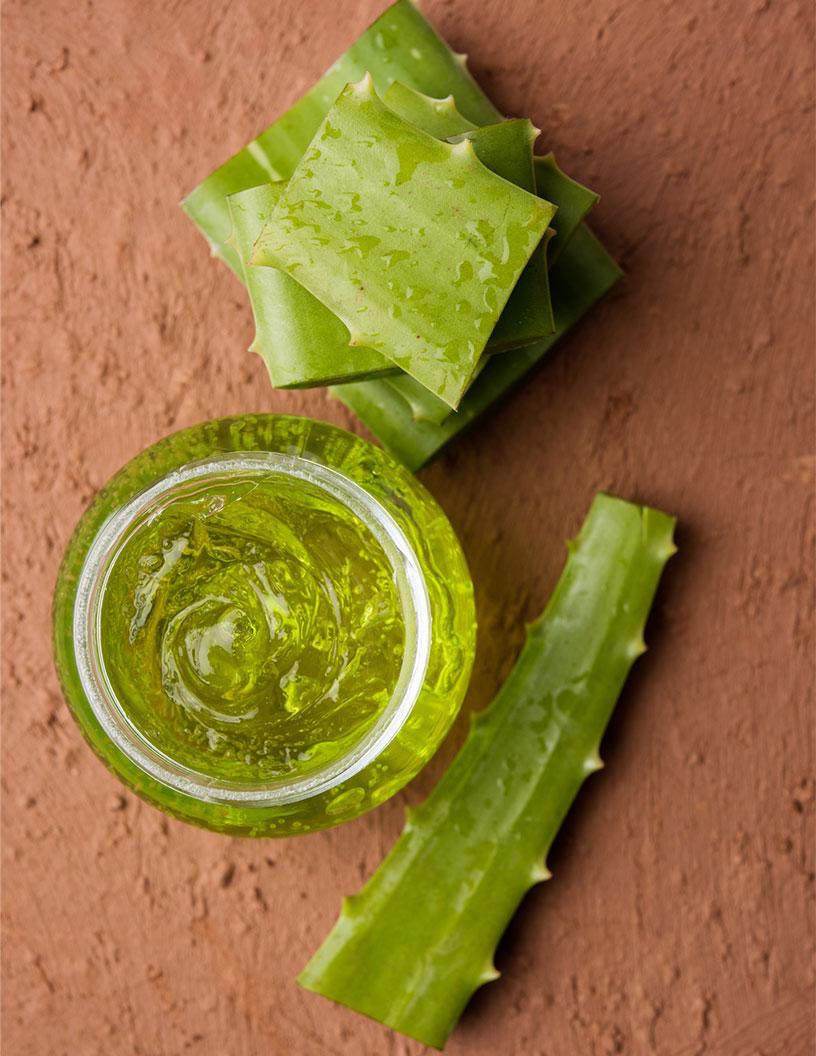 Global Aloe Vera Extracts Market 2025-2029