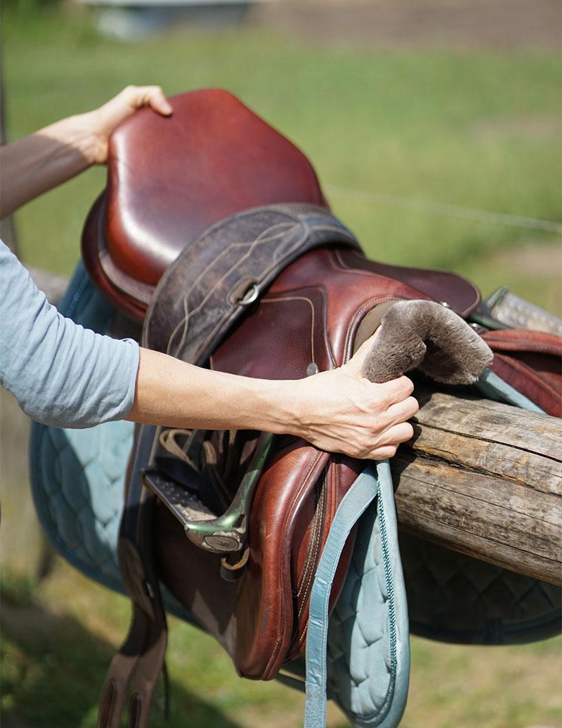Global Harness Saddlery Equipment Market 2025-2029