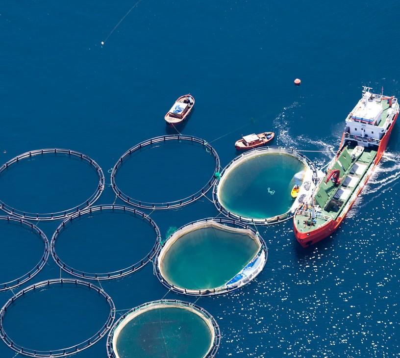 Global Fishing Aquaculture Nets Market 2025-2029