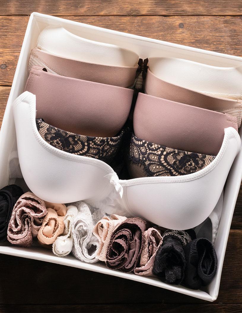 Global Bra Market 2025-2029
