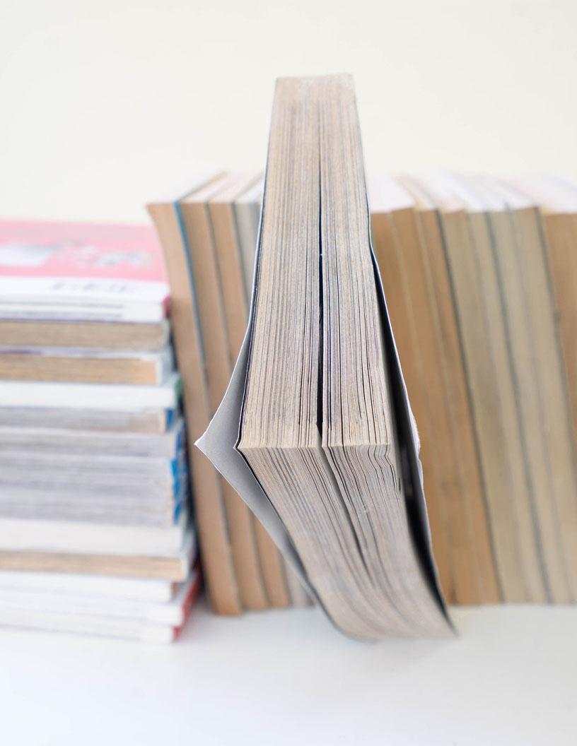 Global Manga Market 2025-2029