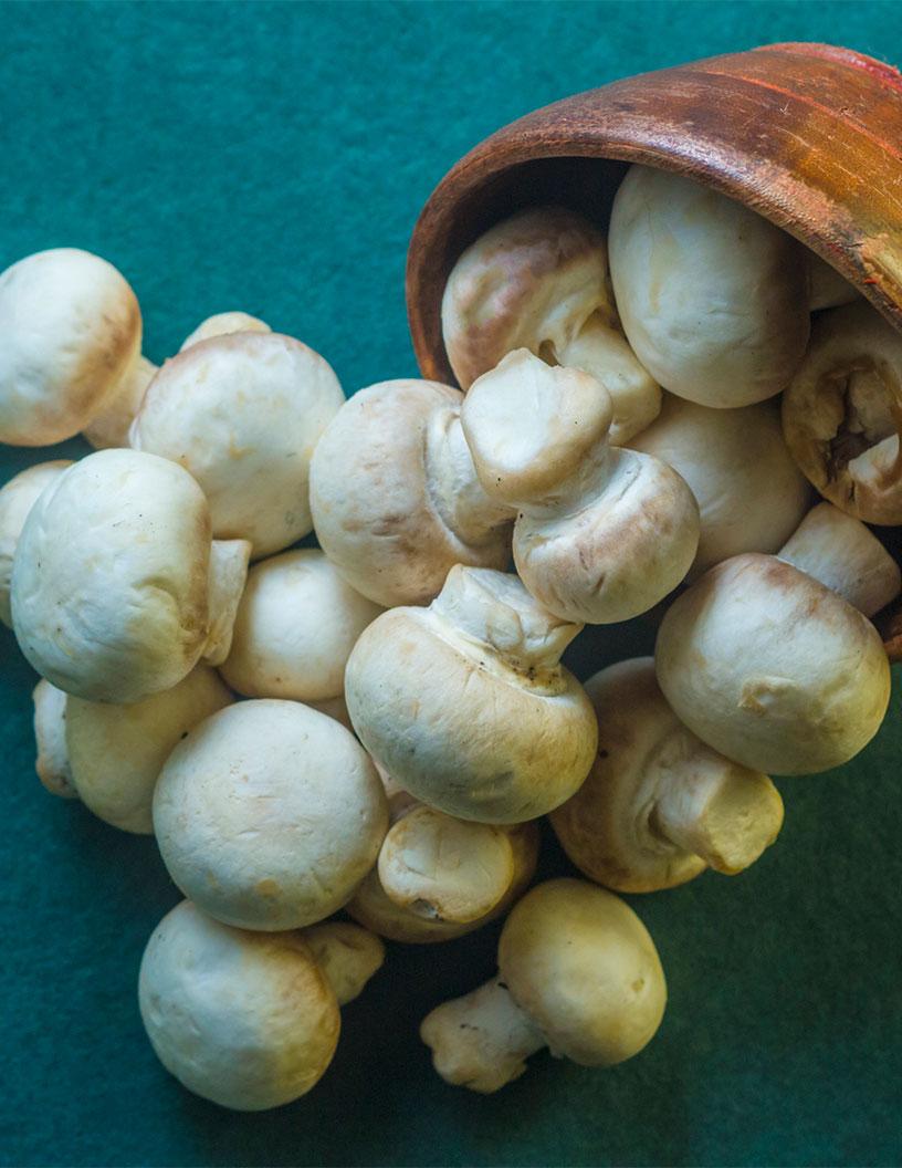 Fresh Mushroom Market in Singapore 2025-2029