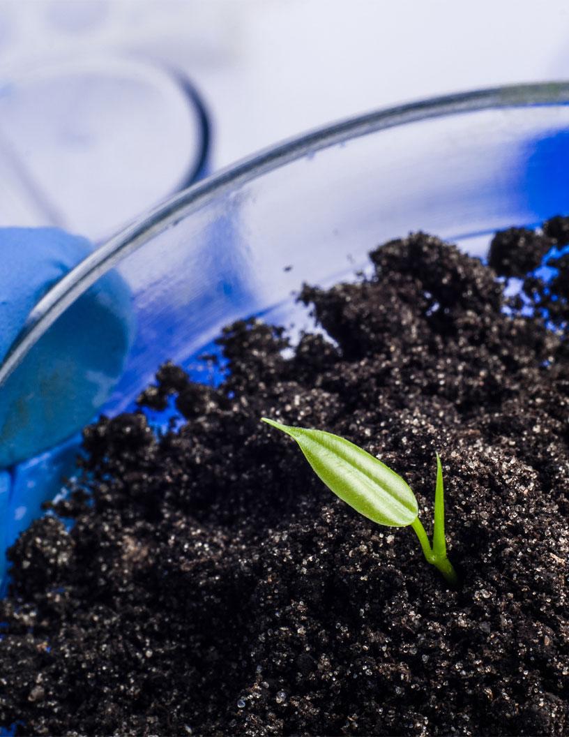 Global Microbial Agricultural Inoculants Market 2025-2029