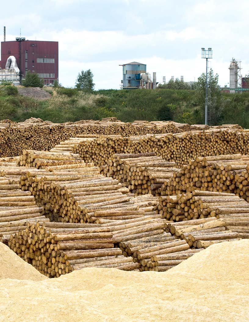Global Dissolving Wood Pulp (DWP) Market 2025-2029