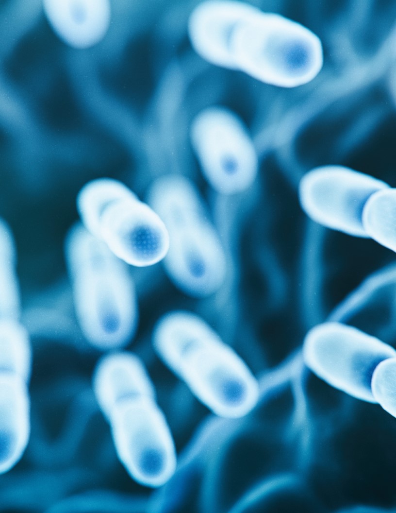 Global Sepsis Therapeutics Market 2024-2028