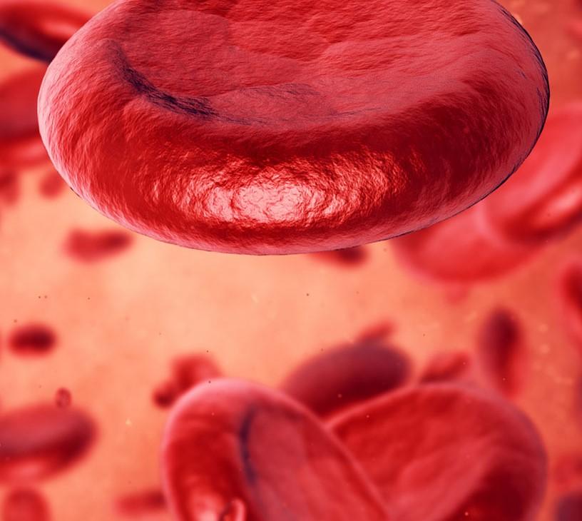 Global Red Biotechnology Market 2025-2029