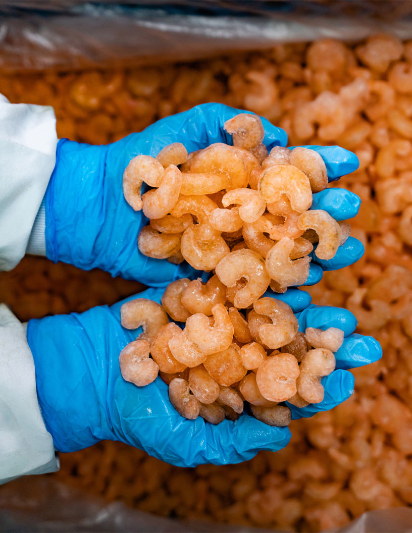 Global PPE Market for Food Processing Industry 2024-2028