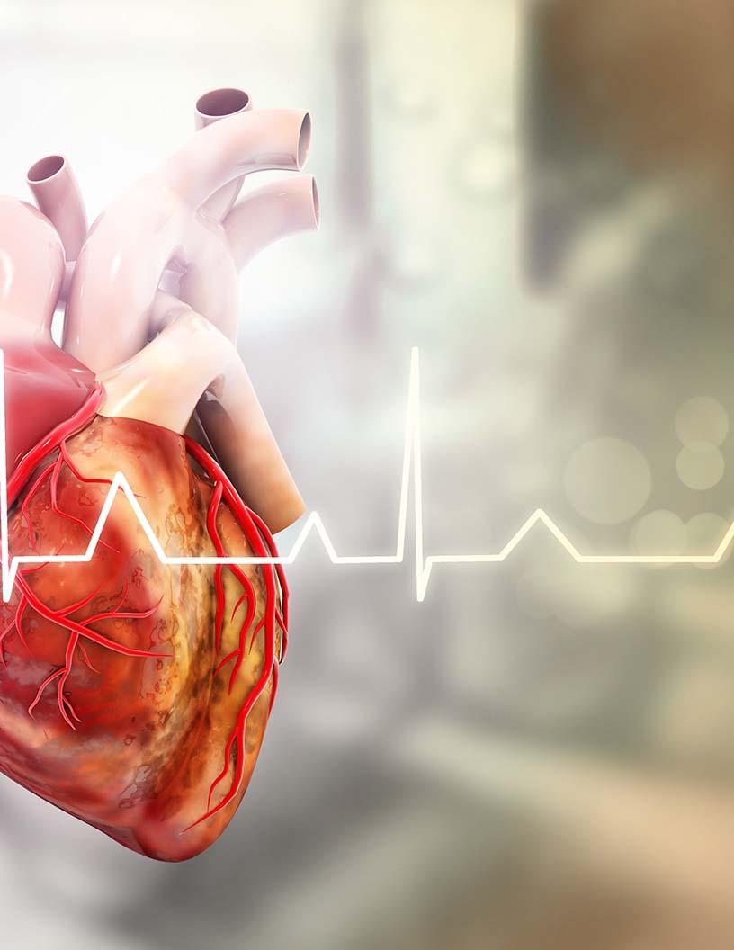 Global Heart Valves Market In Pediatric Patients 2025-2029
