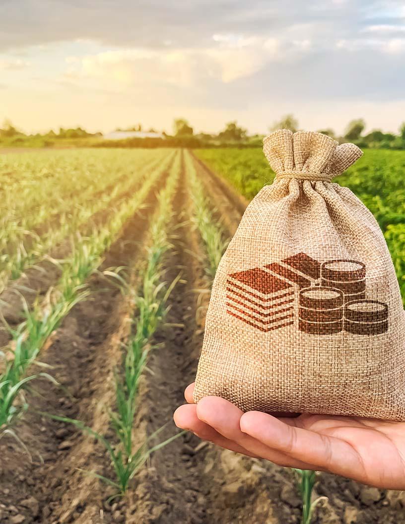 Global Agribusiness Market 2025-2029