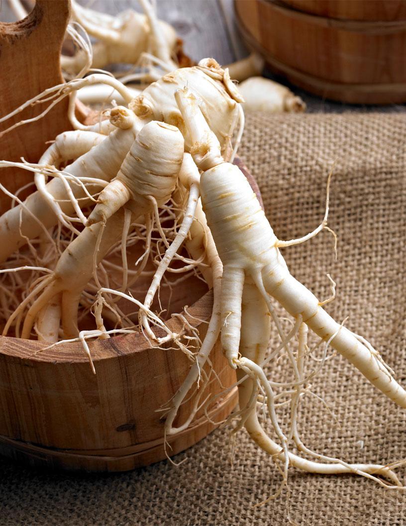 Global Ginseng Market 2025-2029
