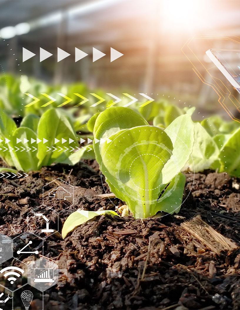 Latest News: Global Crop Production Software Market 2024-2028