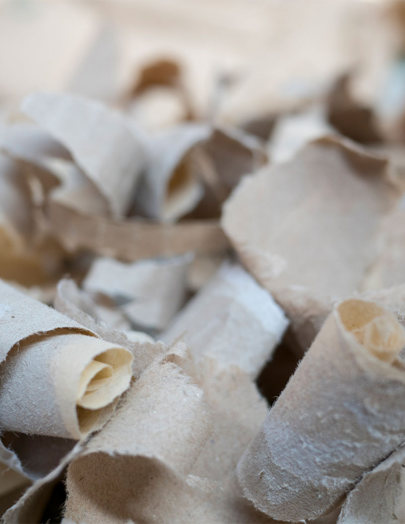 Global Bleached Kraft Pulp Market 2024-2028