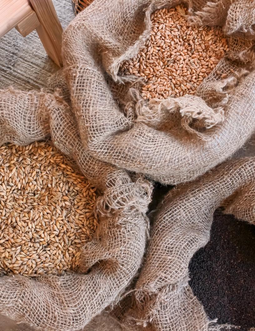 Global Canola Meal Market 2025-2029