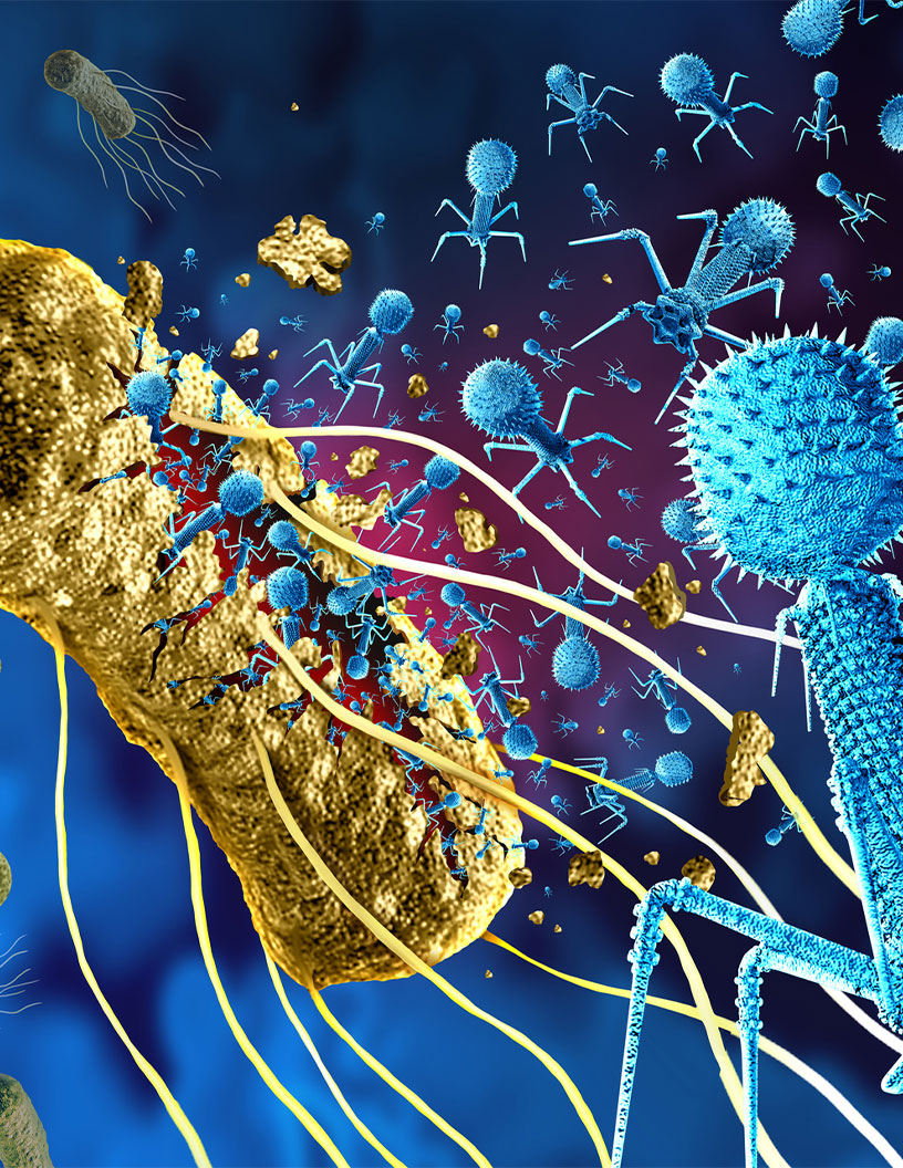 Global Phage Therapy Market 2024-2028