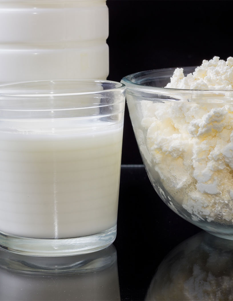 Global Lactoferrin Products Market 2024-2028