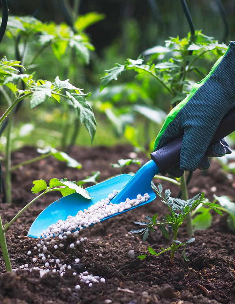 Fertilizers Market in Thailand 2025-2029