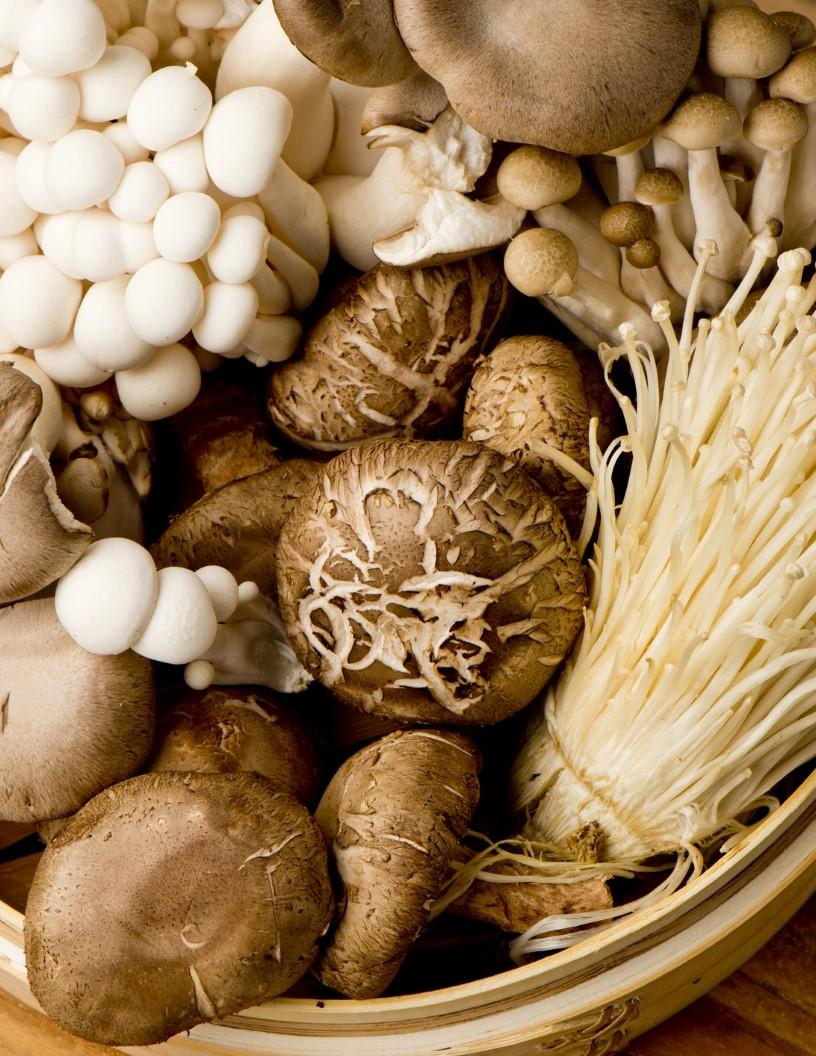 Global Functional Mushroom Market 2025-2029